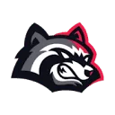 BetFury logo